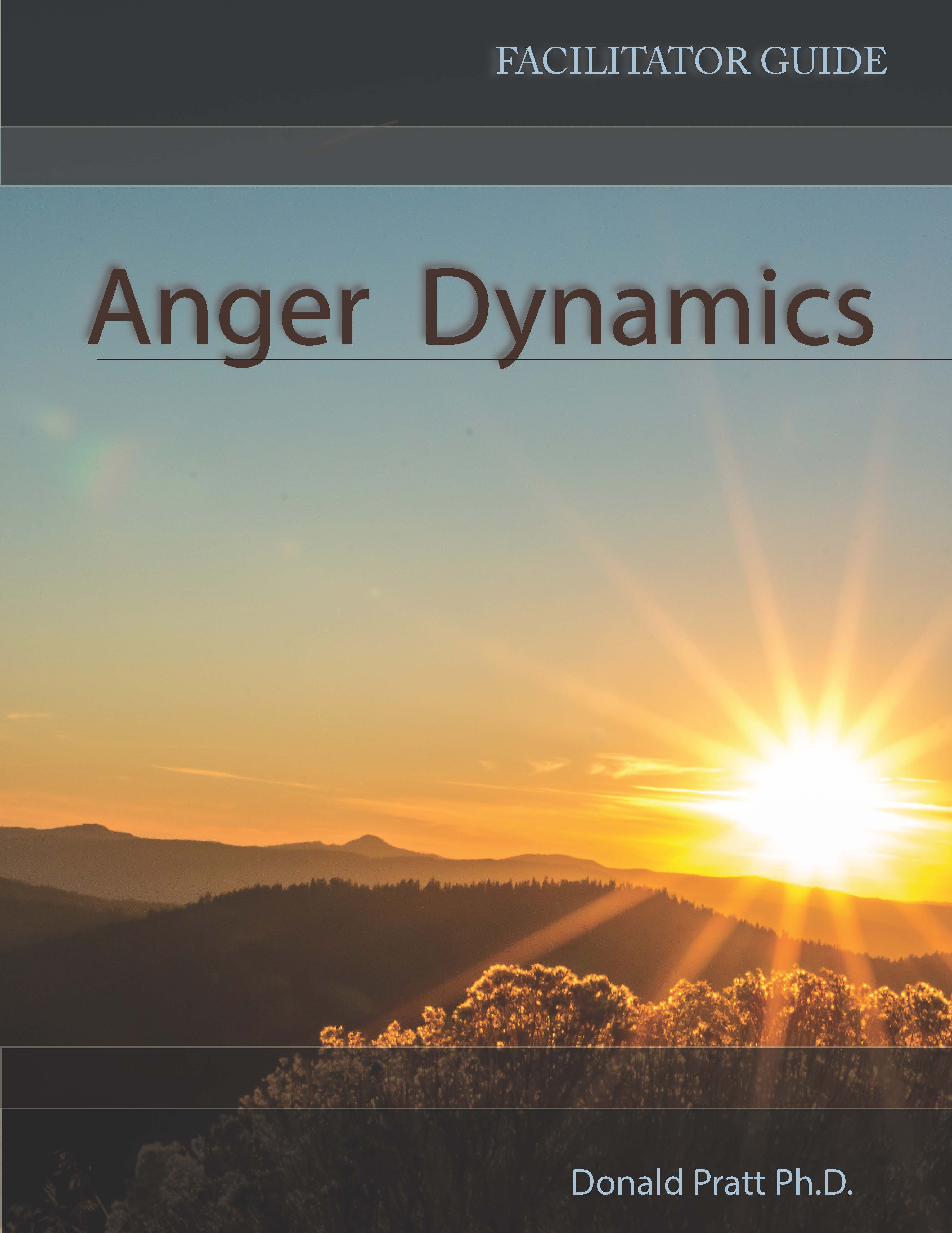 Insight Book